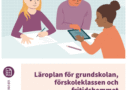 En fritidspedagogisk yrkesidentitet – ett dilemma